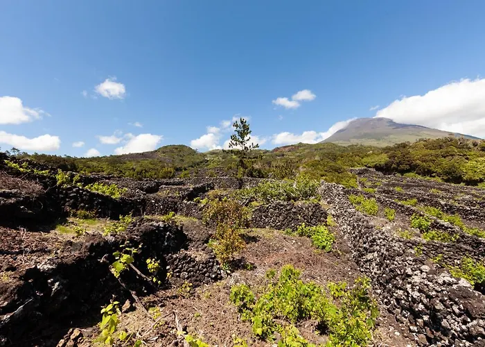 Cantinho Do Sossego Prázdninový dům *