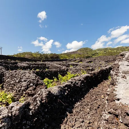 Cantinho Do Sossego 펜션