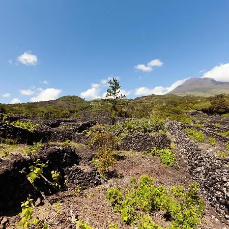 Cantinho Do Sossego 펜션 *